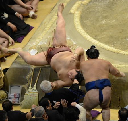 　鶴竜（右下）を寄り切りで下し、勢い余って転倒した稀勢の里（撮影・西岡　正）