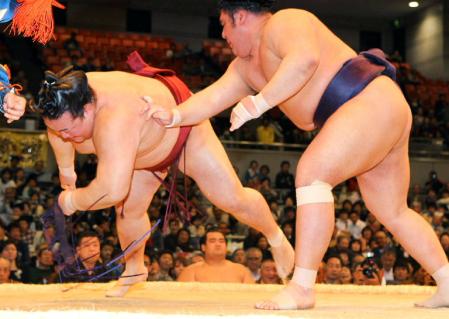 稀勢の里（左）を突き落としで下した栃煌山＝大阪・ボディメーカーコロシアム（撮影・佐々木彰尚）