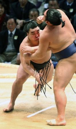 　栃乃若（手前）を攻める日馬富士＝福岡国際センター