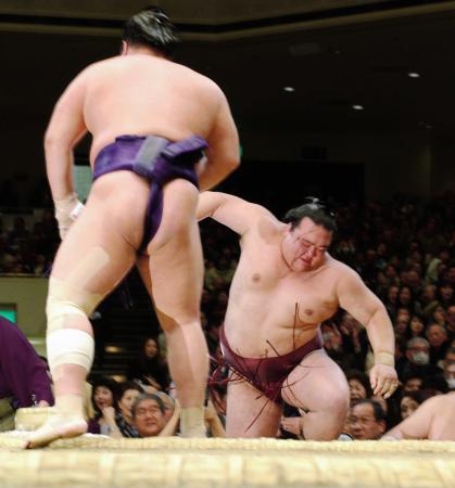 　栃煌山（左）に寄り切りで敗れ、土俵下に落下する稀勢の里