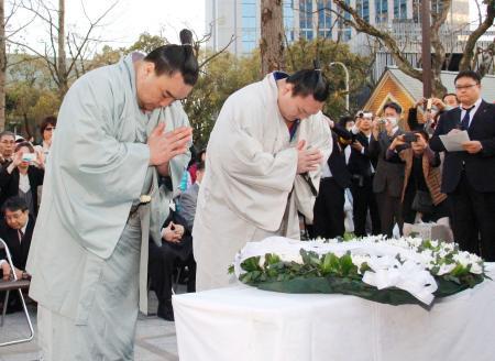 　阪神大震災２０年の献花式で、手を合わせる横綱の日馬富士関（左）と白鵬関＝３０日午後、神戸市中央区の東遊園地