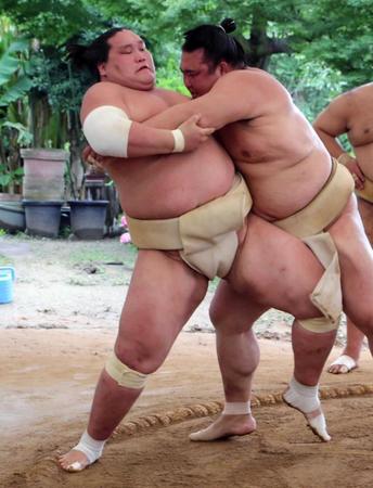 　稀勢の里（右）との稽古で粘り腰を見せる照ノ富士