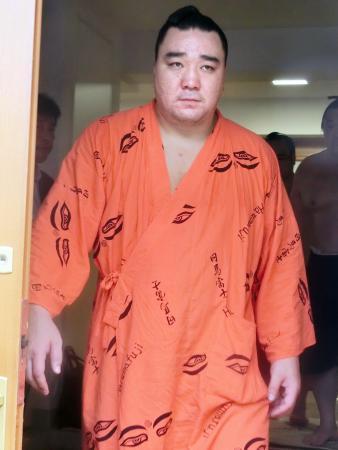 横綱日馬富士が秋場所休場