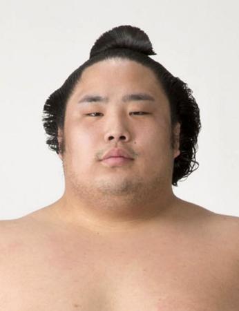 大相撲初場所、千代鳳が再出場へ