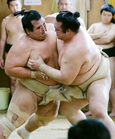 綱とり挑む琴奨菊、稀勢らと火花