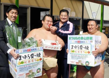 　松原市から地元の野菜、果物が差し入れられイチゴを食べる琴奨菊（左から２人目）。右から琴勇輝、佐渡ケ嶽親方、左は沢井市長