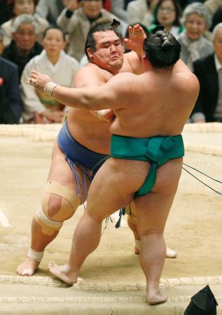 大相撲春場所、琴奨菊は連勝