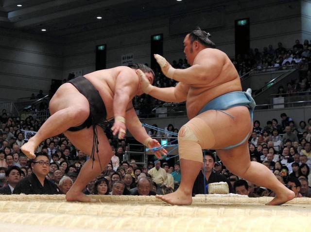 豪栄道　活躍の春場所で右太もも肉離れ