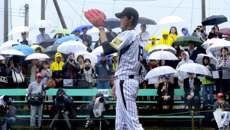 　雨の中、ファンが見守る中で練習する藤浪（撮影・金田祐二）