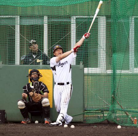　特打で新井良は和田監督が見守る中、豪快なスイングで打球をスタンドへ運ぶ（撮影・山口　登）