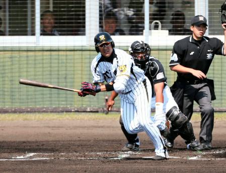 １回、阪神・西岡は左前打を放つ（捕手・里崎＝宜野座（撮影・山口　登）