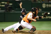 　３回、新井良の右犠飛で三走・西岡がホームイン（撮影・園田高夫）