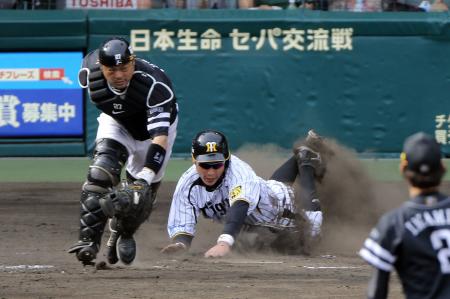 　５回、二走・新井は川原の暴投で一気に生還する。捕手・細川（撮影・山口　登）
