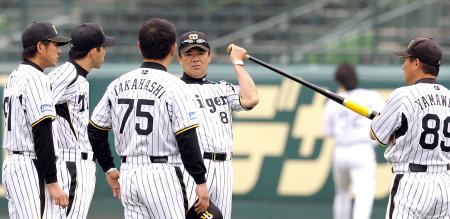 　練習中、コーチ陣と話し込む和田監督（右）＝撮影・田中太一