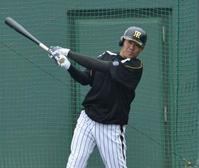 　屋外でのフリー打撃を再開した福留