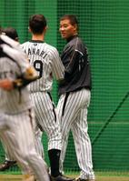 練習中、今成と話し込む福留（撮影・田中太一）