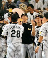 　勝ち投手となった能見は福原らと笑顔でハイタッチ＝甲子園