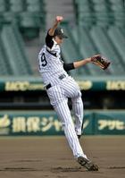 　甲子園での練習中、ノックで勢いよく二塁へ送球する藤浪（撮影・保田叔久）
