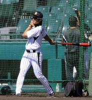 　フリー打撃で快音を響かせる西岡（撮影・山口　登）