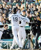 　俺が決めるー。藤浪からバットを受け取り、打席へと向かう新井（撮影・飯室逸平）