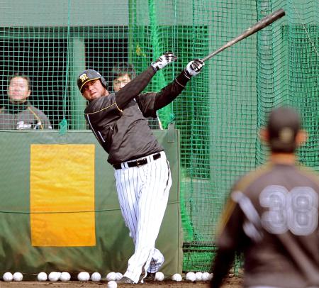 　屋外でのフリー打撃で力強いスイングをみせるゴメス（撮影・田中太一）