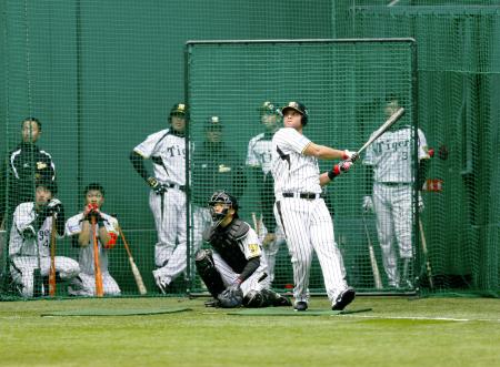 　ナインが見つめる中、シート打撃で鋭い打球を放つゴメス（撮影・棚橋慶太）