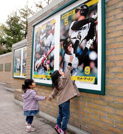 　甲子園開幕を前にリニューアルされ、新たに登場したゴメスのパネル