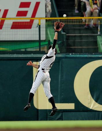 　四回、阪神・緒方はラッツの打球に飛びつくも捕れず（撮影・棚橋慶太）