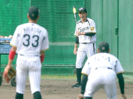 　ノックをする藤本２軍内野守備走塁コーチは（手前左から）西田、原口に大声を出す（撮影・田中太一）