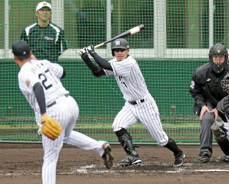 　シート打撃で秋山から安打を放つ鳥谷