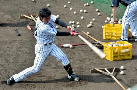 　ティー打撃で汗を流す江越（撮影・園田高夫）