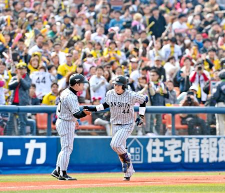 　２回、ソロを放ち、ファンの歓声を背に受けて本塁へ向かう梅野（右）＝撮影・園田高夫