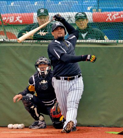 　和田監督（後方右）、オマリー打撃コーチ補佐（同左）が見守る中、打撃練習を行うゴメス（撮影・西岡正）