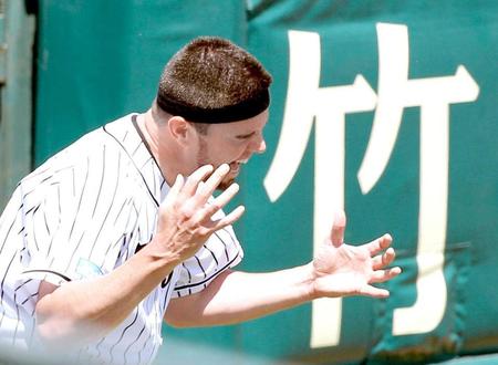 　フライングディスクを取り損ね悔しがるメッセンジャー（撮影・田中太一）