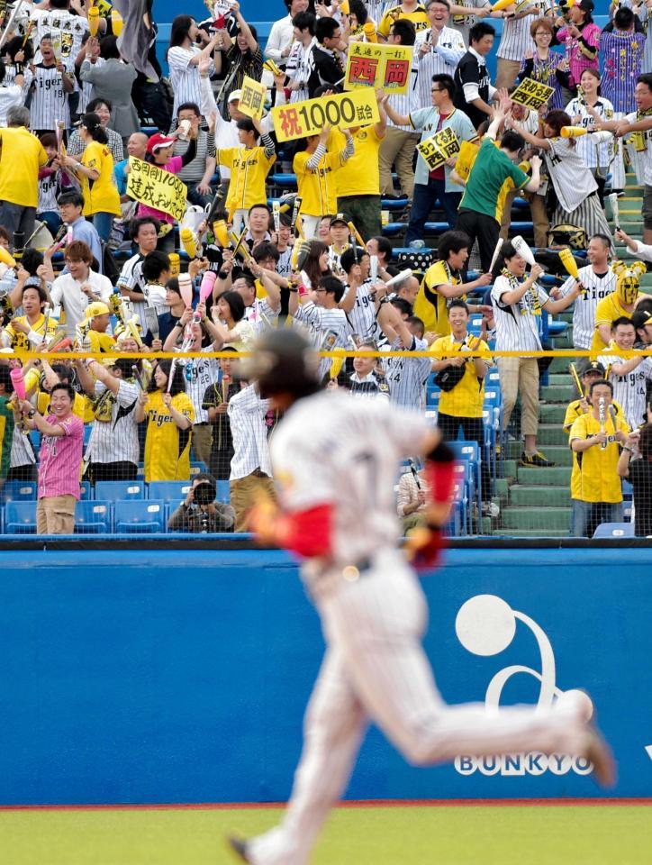 　１回、西岡の先頭打者本塁打に「祝１０００試合（出場）」のボードを持った阪神ファンも大喜び（撮影・吉澤敬太）