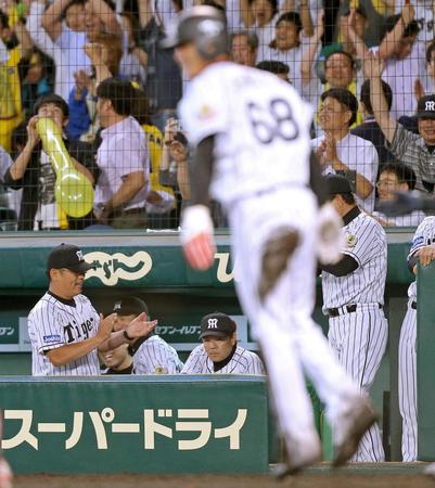 延長１０回、鳥谷の犠飛でサヨナラ勝ちとなるも、一人険しい表情でグラウンドを見つめる和田監督（中央）＝撮影・田中太一