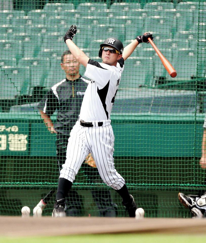 　黙々と打撃練習に励む今成