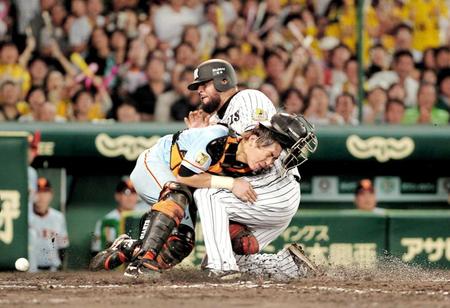 　７回、梅野の安打で二走・ゴメス（左）は捕手・加藤をはじき飛ばして生還（撮影・保田叔久）