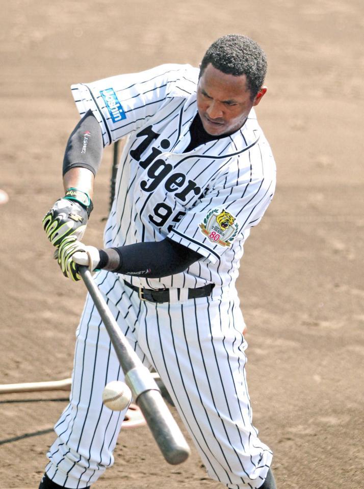 　ティー打撃で調整するペレス（撮影・保田叔久）