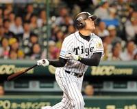 ７回、阪神・福留孝介は右犠飛を放つ＝甲子園（撮影・保田叔久）