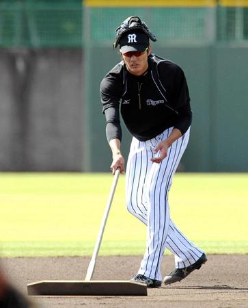 　グラブを頭に載せグラウンドを整備する藤浪