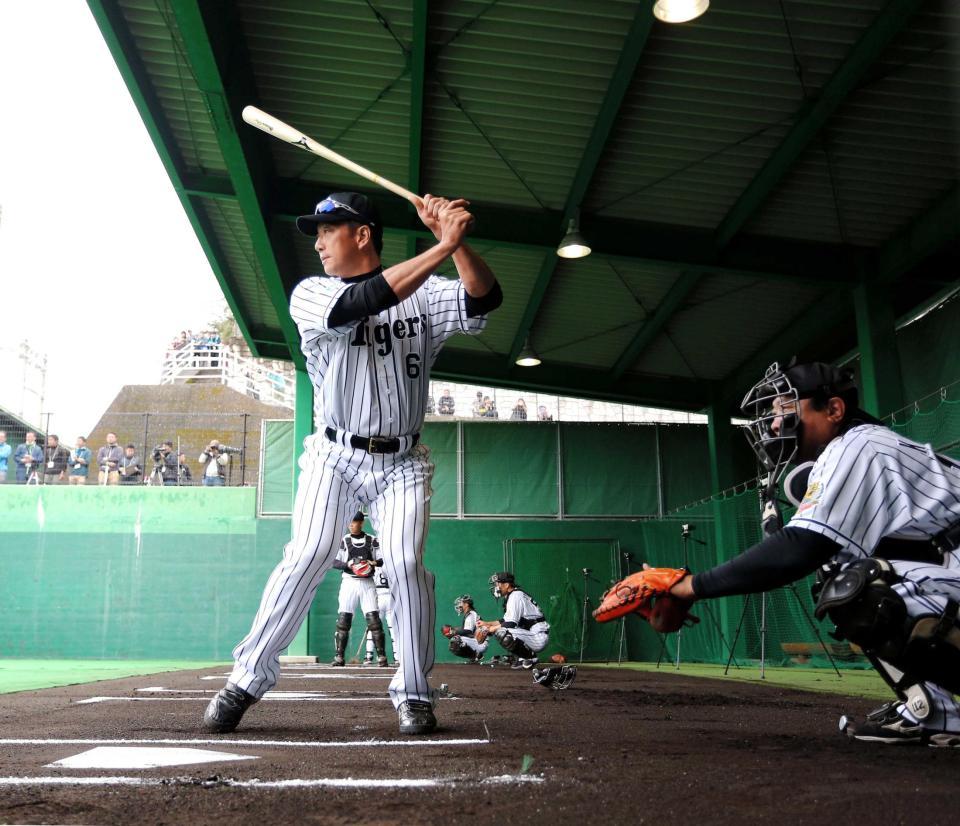 　ブルペンの打席に立ち球筋を見極める金本監督（撮影・飯室逸平）