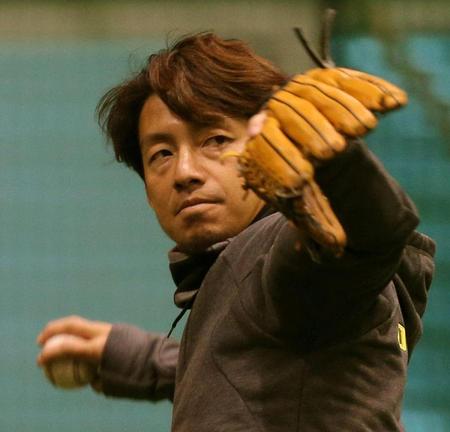 キャッチボールをする阪神・鳥谷敬＝甲子園（撮影・田中太一）