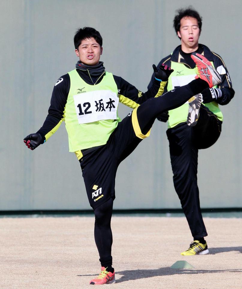 入念にアップする阪神・坂本