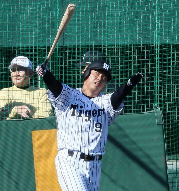 ドラ1高山 衝撃の柵越え20本/タイガース/デイリースポーツ online