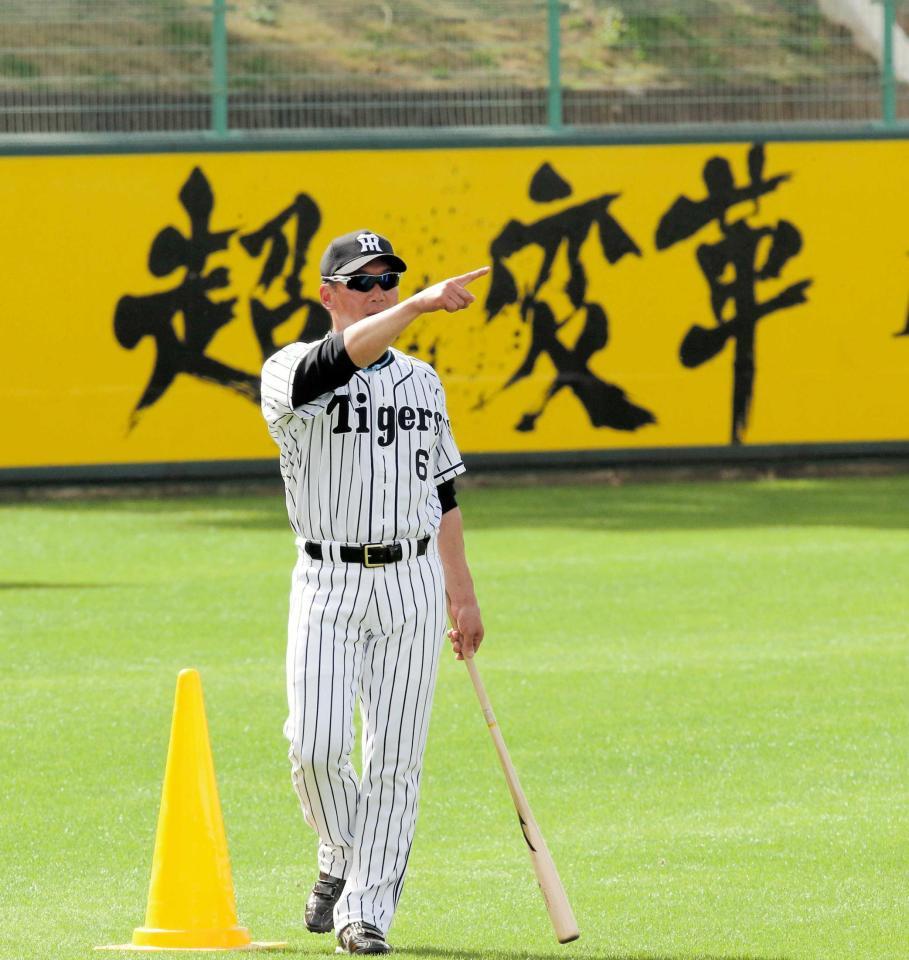 金本監督 対外試合は全敗でもｏｋ タイガース デイリースポーツ Online