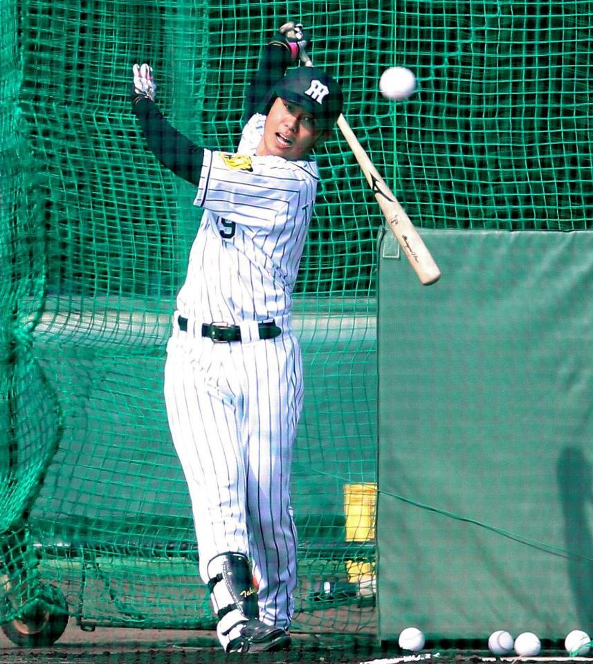 　打撃練習で汗を流す高山（撮影・北村雅宏）