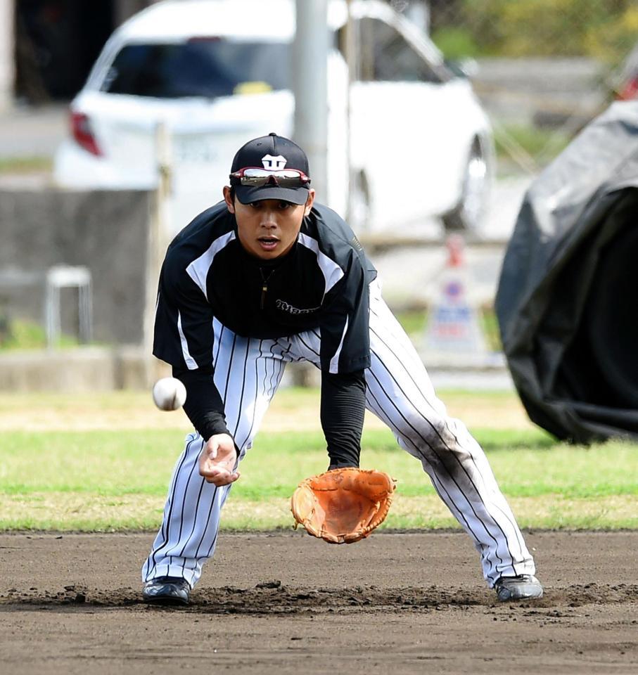 内野ノックを受ける阪神・高山俊＝宜野座（撮影・棚橋慶太）