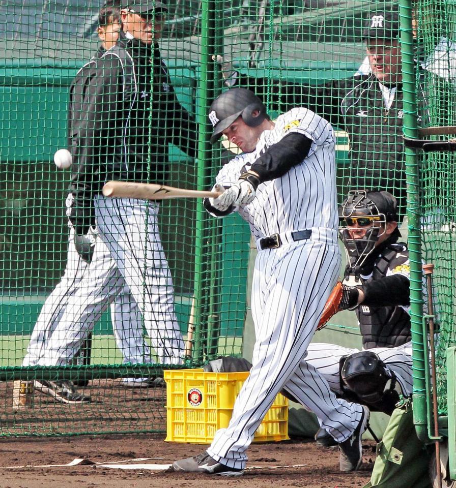 　打撃練習するへイグ（撮影・北村雅宏）