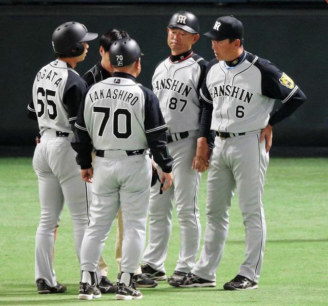 これぞ金本流 死球緒方に「骨か肉か」